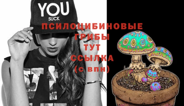 СК Баксан